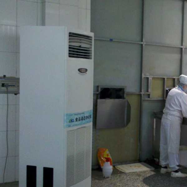 四川食品正负离子空气杀菌器